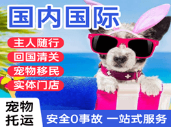 乌兰察布空运代理国际宠物托运 【国